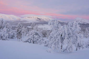 Winterlandschaft - JOHF03081