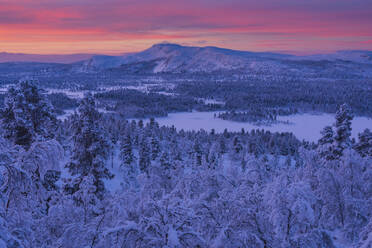 Winter landscape at sunset - JOHF03082