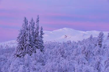 Winterlandschaft bei Sonnenuntergang - JOHF03083