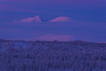 Winter landscape at dusk - JOHF03084