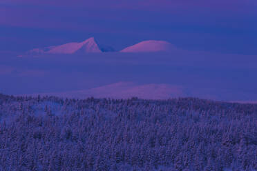 Winterlandschaft in der Abenddämmerung - JOHF03084