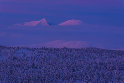 Winterlandschaft in der Abenddämmerung - JOHF03084