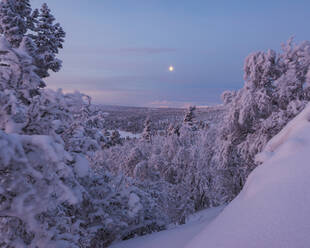 Winterlandschaft - JOHF03086