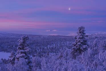 Winterlandschaft bei Sonnenuntergang - JOHF03089
