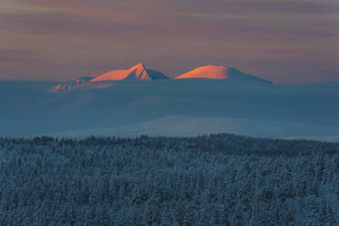 Winterlandschaft bei Sonnenuntergang - JOHF03092