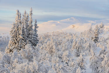 Winter landscape - JOHF03093