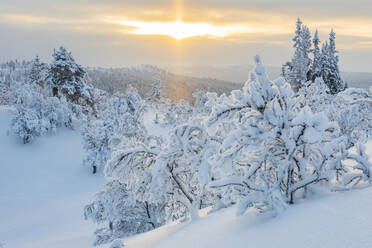 Winterlandschaft - JOHF03094