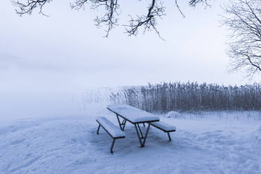 Picknickbank im Winter - JOHF03099