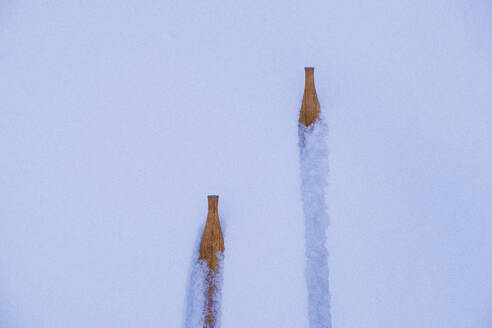 Holzskier auf Schnee - JOHF03113