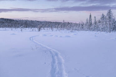 Winter landscape at sunset - JOHF03116