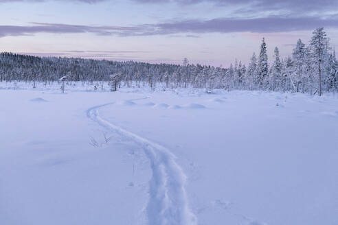 Winterlandschaft bei Sonnenuntergang - JOHF03116