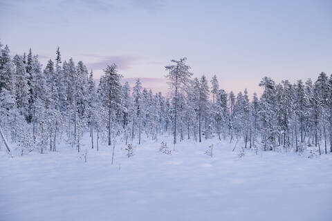 Winterlandschaft bei Sonnenuntergang, lizenzfreies Stockfoto