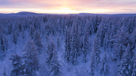 Winterlandschaft bei Sonnenuntergang - JOHF03118