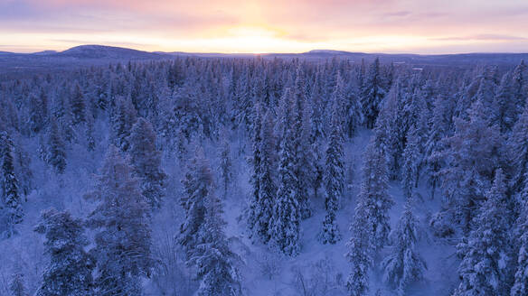 Winterlandschaft bei Sonnenuntergang - JOHF03118