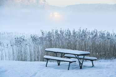 Picknickbank am See - JOHF03131