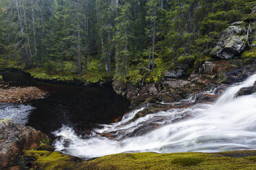 Blick auf den Wasserfall - JOHF03137