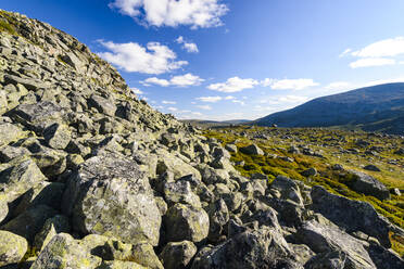 Blick auf die Berge - JOHF03161