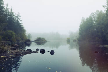 Foggy lake - JOHF03238