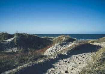 Sand dunes at sea - JOHF03290