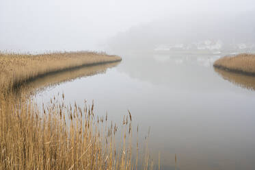 Blick auf den nebligen See - JOHF03374