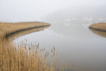 View of foggy lake - JOHF03374