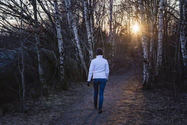 Frau geht durch den Wald - JOHF03501