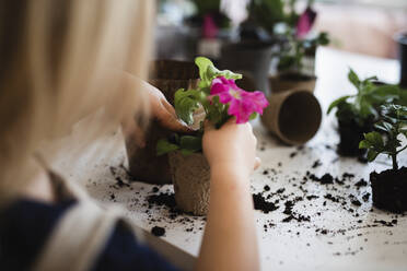 Girl potting flower - JOHF03518