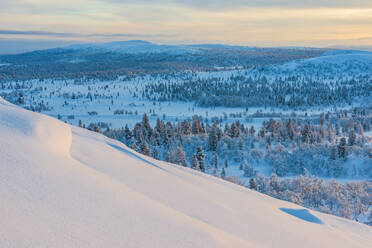 Winterlandschaft - JOHF03605