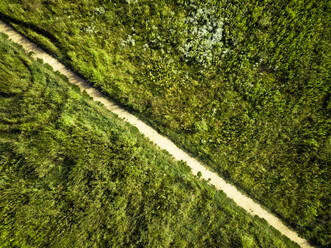 Deutschland, Berlin, Luftaufnahme eines leeren Feldweges inmitten von grüner Vegetation - GIOF07177