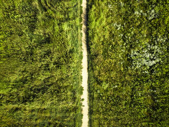 Deutschland, Berlin, Luftaufnahme eines leeren Feldweges inmitten von grüner Vegetation - GIOF07178