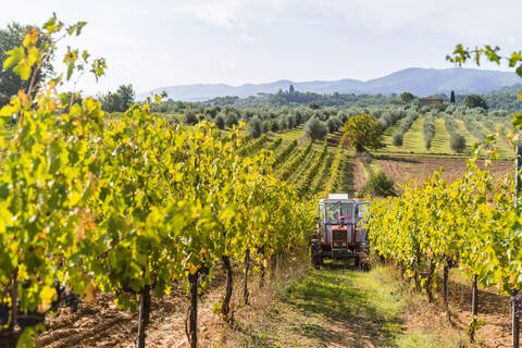 In einem Weinberg abgestellter Traktor, lizenzfreies Stockfoto