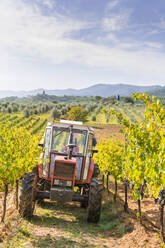 In einem Weinberg abgestellter Traktor - MGIF00792