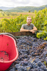 Portrait of smiling young man at trailer with harvested grapes in vineyard - MGIF00815