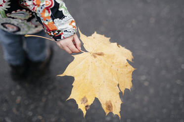 Kleines Mädchen hält Herbstblatt in der Hand - EYAF00563