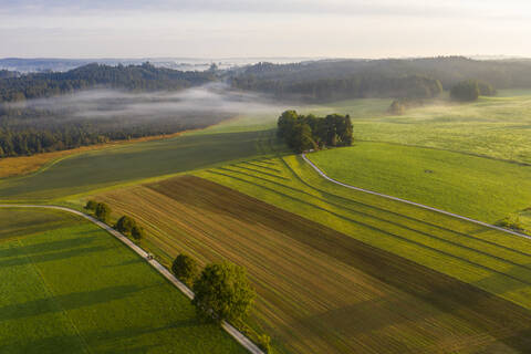 Deutschland, Bayern, Dietramszell, Luftaufnahme von ländlichen Feldern bei nebliger Morgendämmerung, lizenzfreies Stockfoto