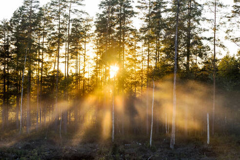 Nebliger Sonnenuntergang - JOHF03773