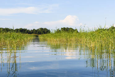 Fluss an einem sonnigen Tag - JOHF03802