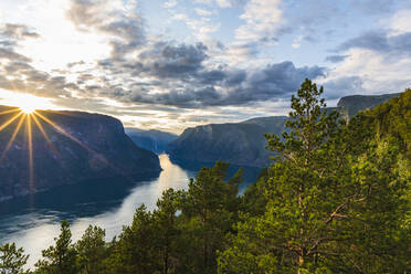 Blick auf die Fjorde - JOHF03891