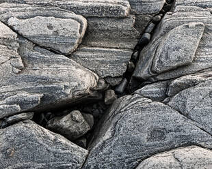 Rock, close-up - JOHF03938