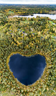 Herzförmiger See, umgeben von Wald - JOHF04022
