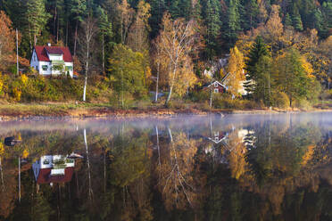 Herbstwald mit Spiegelung im See - JOHF04033