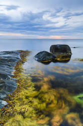 View of rocky coast - JOHF04036