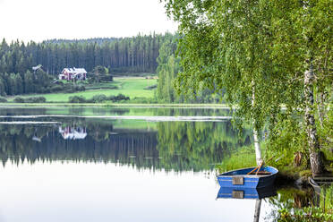 Rowing boat on lake - JOHF04040