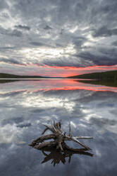 Stump in lake at sunset - JOHF04174