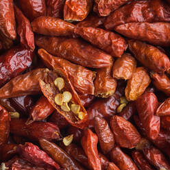 Dried red chilies - JOHF04226