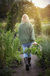 Frau im Garten - JOHF04266