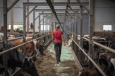 Teenage girl in cowshed - JOHF04317