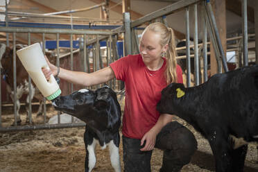 Junges Mädchen füttert Kalb - JOHF04334