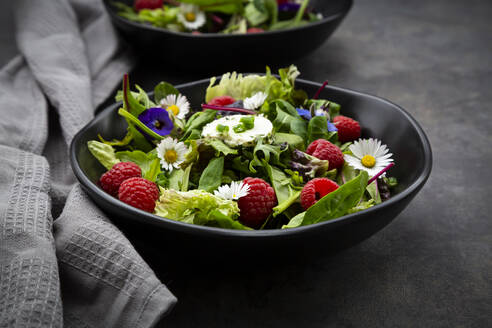 Schüssel mit frischem Salat mit Rucola, Spinat, Mangold, Eichblatt, Lollo Rosso, Feldsalat, Himbeeren, Frischkäse, Schnittlauch und essbaren Blüten - LVF08343