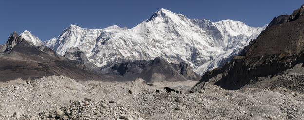 Ngozumba-Gletscher, Cho Oyu, Sagarmatha-Nationalpark, Everest Base Camp-Trek, Nepal - ALRF01550